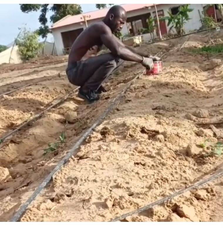 Precision Soil Prep & Drip Lines